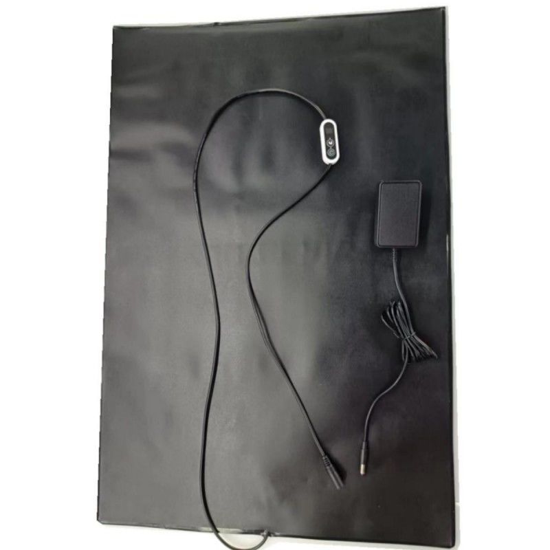 PVC Pet Heat Mat 12V Heating Pad 60x40cm พร้อมเครื่องควบคุมอุณหภูมิ สําหรับสุนัขแมว